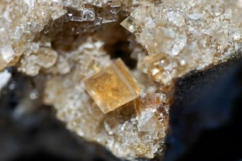 Calcite
Wright-McGrady Mine, Karnes Uranium District, Karnes Co., Texas, USA
8mm on edge.

Calcite rhomb (Author: Paul Bordovsky)