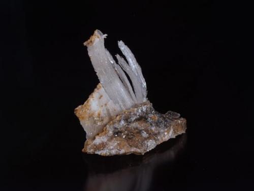 Gypsum
Pfeil mine, Karnes Uranium District, Karnes Co., Texas, USA
50 mm. (Author: Paul Bordovsky)