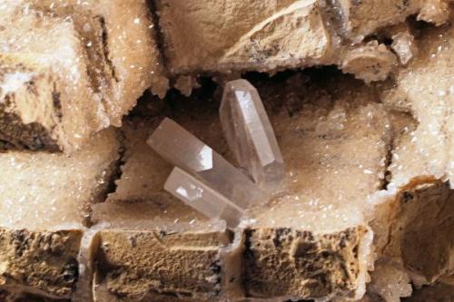 Barite
Wright-McGrady Mine, Karnes Uranium District, Karnes Co., Texas, USA
Detail. Largest crystal: 1.0 x .2 x 1.0 cm. (Author: Paul Bordovsky)