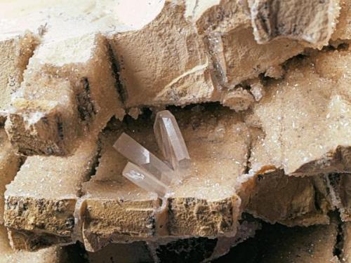 Barite
Wright-McGrady Mine, Karnes Uranium District, Karnes Co., Texas, USA
Detail. Largest crystal: 1.0 x .2 x 1.0 cm. (Author: Paul Bordovsky)