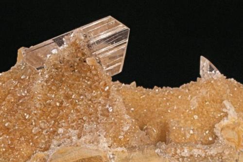 Gypsum
Kellner mine, Karnes Uranium District, Karnes Co., Texas, USA
Large crystal: 2.0 X .6 X 1.1 cm. 

Water clear gypsum (selenite) crystals on micrite matrix. Large crystal is 2.0 X .6 X 1.1 cm. Found inside concretions, self collected in 2003 during Kellner mine reclamation. (Author: Paul Bordovsky)