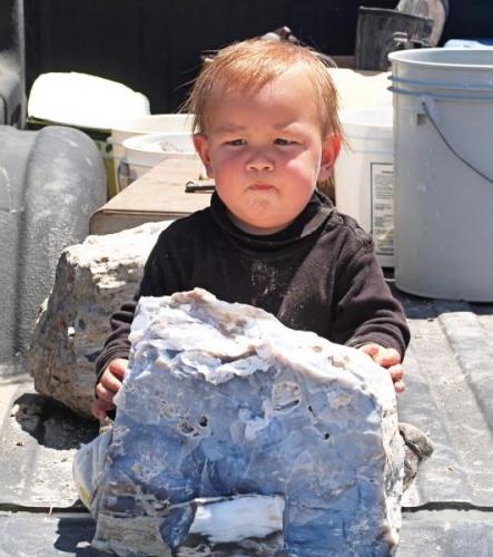 Odin contemplates a large chunk of opalized wood from Sickenius mine. (Author: Paul Bordovsky)