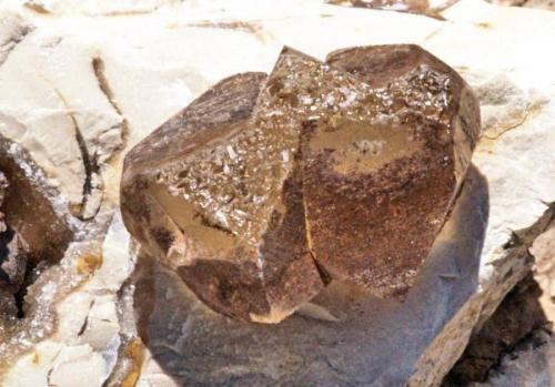 Calcite
Sickenius mine, Karnes Uranium District, Karnes Co., Texas, USA
Calcite crystal 45 x 37mm

You can see many tiny faces where the crystal grew against the matrix. (Author: Paul Bordovsky)