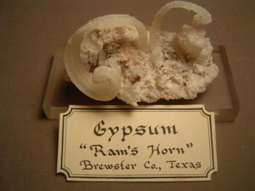 Gypsum
Mariposa Mine, California Hill, Terlingua Mercury District, Brewster County, Texas, USA
6.2 cm X 5 cm.

Same specimen, a little better photo. (Author: Ed Huskinson)