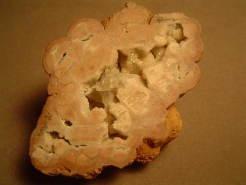 Calcite
Palo Duro Canyon area, Armstrong Co., Texas, USA
5 cm. X 7 cm.

Concretion, 5 cm X 7 cm.  Calcite in fine sandstone / redbed matrix. Palo Duro Canyon, near Canyon, Texas.  These used to be quite common in the canyon, but many of them have been picked up by visitors, picnickers, and the like (which, i suppose, includes me too). (Author: Ed Huskinson)