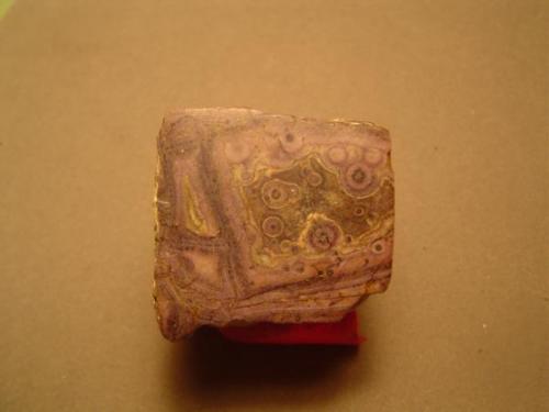 Fluorite
Paisano Mine, Christmas Mts, Brewster Co., Texas, USA
5 cm. wide x 3 cm. across 

Same specimen, Sawed and polished base. 3 cm across.  Again, note the unusual "Bird’s Eye" textures. (Author: Ed Huskinson)