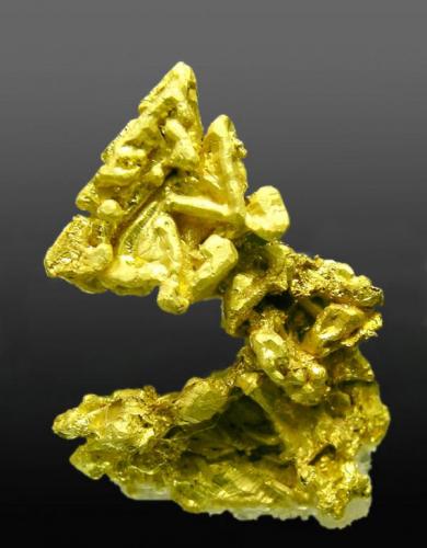 Gold
Group formed by crystals of perfectly defined faces and edges and has hoppered growth on the areas corresponding to the octahedron faces. 
Colorado Quartz Mine, Mariposa County, California, USA
Specimen size: 1.9 × 1.4 × 0.6 cm.
Main crystal size: 1 × 0.9 cm.
Photo: "Reference Specimens" (Author: Jordi Fabre)