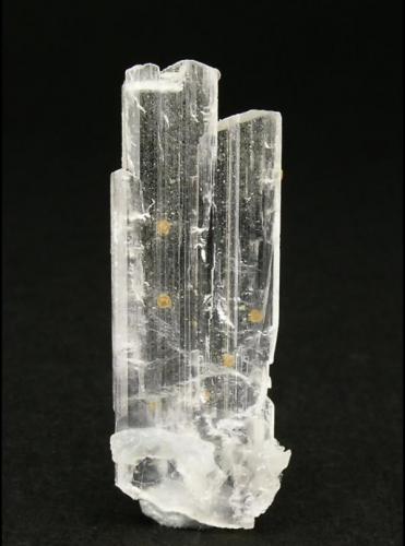 Bikitaite with Eosphorite
Foote Mine, Kings Mountain District, Cleveland County, North Carolina, USA
Mined about 1997
Former Silvane Collection
Specimen size: 2.5 × 1 × 0.3 cm.
Photo: Reference Specimens

Rear of the specimen (Author: Jordi Fabre)