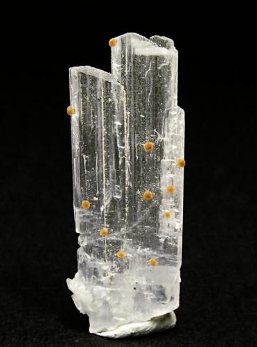 Bikitaite with Eosphorite
Foote Mine, Kings Mountain District, Cleveland County, North Carolina, USA
Mined about 1997
Former Silvane Collection
Specimen size: 2.5 × 1 × 0.3 cm.
Photo: Reference Specimens (Author: Jordi Fabre)