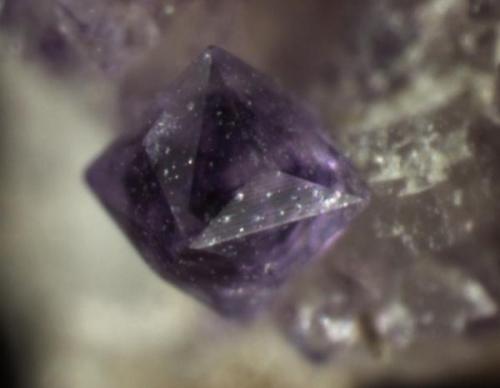 Fluorite
Woodleaf Quarry, Rowan County, North Carolina, USA
Crystal less than 0.5 mm

Fluorite (trisoctahedral) Don’t have a note about size, but probably crystal is less than 0.5 mm. (Author: Pete Richards)