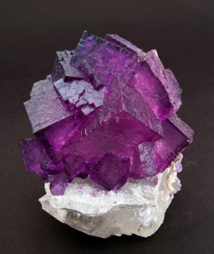 Fluorite with Calcite
Elmwood Mine, Carthage, Smith County, Tennessee, USA
Mined about 1993
Specimen size: 4.9 × 4.6 × 3 cm.
Main crystal size: 1.7 × 1.2 cm.
Former Jan Buma collection - Number 930702
Minor fluorescence long & short UV
Photo: Reference Specimens (Author: Jordi Fabre)