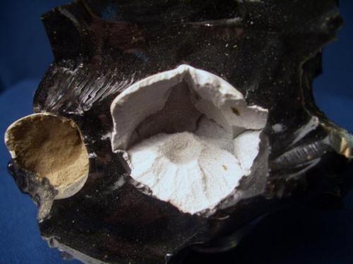 Here is some Cristobalite with Tiny blades of Fayalite from the Coso Hot Springs Deposit, Coso Hot Springs, Inyo County, California the Cristobalite is about 1.0" (2.54 cm) in diameter (Author: Jim Prentiss)