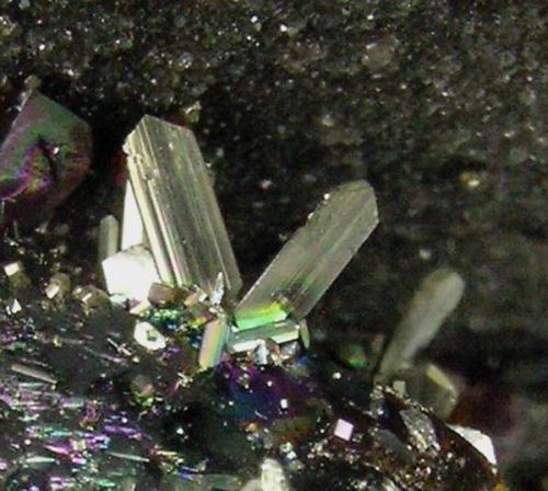 Detail of the Marcasite crystals (Author: Jordi Fabre)