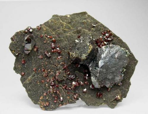 "Ruby Jack" Sphalerite with Marcasite and Pyrite
Picher Field, Tri-State District, Ottawa County, Oklahoma  USA 
Mined about 1959
Former Folch duplicates collection
Specimen size: 10.8 × 8.3 × 2.9 cm.
Main crystal size: 3.6 × 2.9 cm.
Photo: Reference Specimens (Author: Jordi Fabre)
