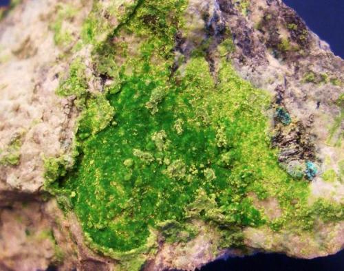 Here is a bright green encrustation of Arthurite from Copper Stope, Majuba Hill Mine, Antelope District, Pershing County, Nevada. The speecimen is about 1 3/4" x 1 3/8" (4.45 x 3.49 cm) (Author: Jim Prentiss)