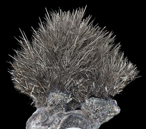 Millerite
Meikle Mine, Boostrap District
Elko County, Nevada
Specimen size 3.5 x 3.5 cm. (Author: am mizunaka)