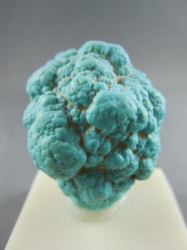 Turquoise
Kennicot Copper Mine, Bingham, Utah, USA
4.0cm x 2,8 cm (Author: rweaver)