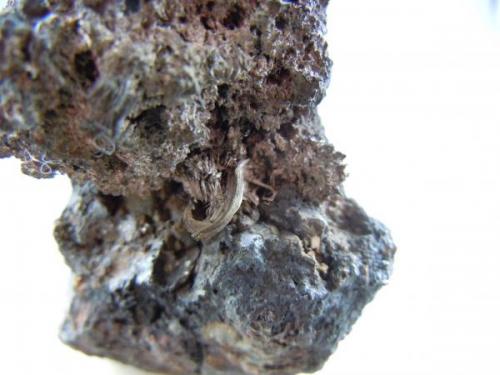 Silver 
Silver King Mine, Park City, Utah, USA
fov 4,0cm x 3.0cm (Author: rweaver)