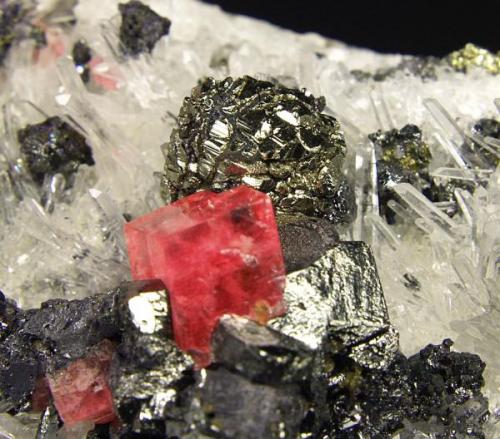 Rhodochrosite, Pyrite, Tetrahedrite, Chalcopyrite, Quartz
Steve’s Pocket, Sweet Home Mine, Alma, Colorado, USA
Specimen size: - cm
Rhodo crystal : 1.5 cm
Pyrite "ball" : 1.5 cm
Photo: Richard Jackson (Author: chris)