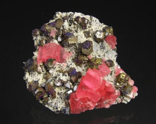 Rhodochrosite, Galena, Chalcopyrite (with Bornite coating), Quartz
Octahedron Pocket, Mini King Rise, Sweet Home Mine, Alma, Colorado, USA
Specimen size: 6.5 x 6 x 3 cm.
Main rhodo cluster: 2.5 cm.
Main Galena crystal : 1 cm
Photo: Richard Jackson (Author: chris)