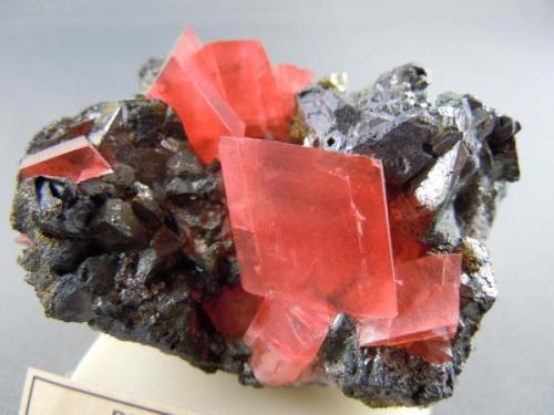 Rhodochrosite w/ Tetrahedrite
Millennium Pocket
Fluorite Raise
Sweet Home Mine
Alma, CO.
5.5cm x 3.8cm (Author: rweaver)