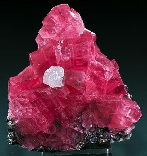 Rhodochrosite with Fluorite
Murphy’s Pocket, Sweet Home Mine, Alma District, Park Co., Colorado
Specimen size 5 x 6.5 cm. (Author: am mizunaka)