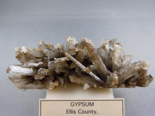 Gypsum
Ellis County, Kansas
8.8cm x 3.1cm (Author: rweaver)