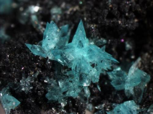 Turquoise crystals(!) not quite 1 mm long. (Author: Pete Richards)