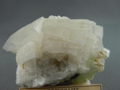 Apophyllite
Centerville, Va.
7.3cm x 4.3cm (Author: rweaver)