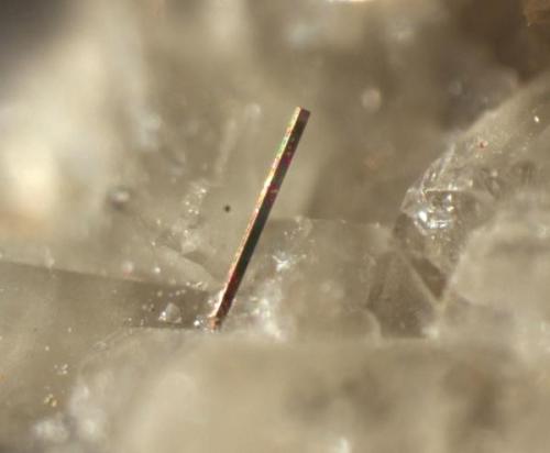 Pyrite
Sugar Grove, Pendleton County, West Virginia, USA
Pyrite bar 0.5 mm long. (Author: Pete Richards)