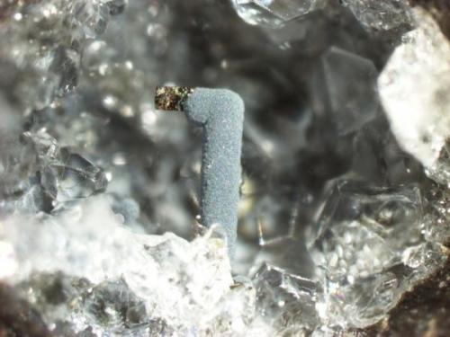 Pyrite and nontronite
Sugar Grove, Pendleton County, West Virginia, USA
A right-angle pyrite bar mostly coated with nontronite.  The bar is 0.9 mm tall. (Author: Pete Richards)