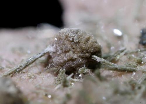 Titanita, Epidota<br />Cantera Cillarga, Linar da Raina, Ponteareas, Comarca El Condado, Pontevedra, Galicia / Galiza, España<br />5 mm.<br /> (Autor: usoz)