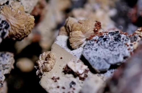 Titanita, Hematites, Chamosita, Fluorita.<br />Cantera Cillarga, Linar da Raina, Ponteareas, Comarca El Condado, Pontevedra, Galicia / Galiza, España<br />3 mm.<br /> (Autor: usoz)
