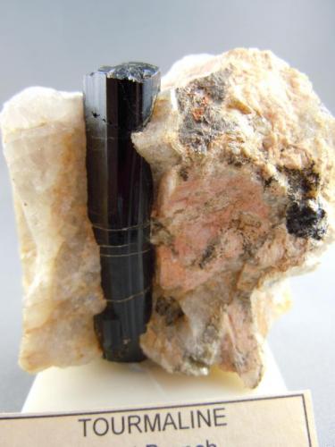 Schorl on Quartz and Feldspar
West Branch, Newark, Delaware, USA
6.2cm x 5.1cm.
Collected by Roland Bounds through Larry Conklin to Kevin Brown Collection and now in Bob Weaver Collection
Photo: Bob Weaver (Author: Jordi Fabre)