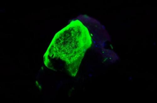 Willemite under UV lamp. It shows strong fluorescence (short wave) (Author: Antonio Alcaide)
