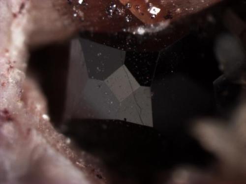 Unusual franklinite crystal with cube and tetrahexahedron {310} faces as well as the octahedron.  Late stage growth in a vug.  Crystal is 0.6 mm wide. (Author: Pete Richards)