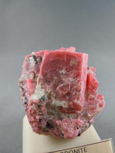 Rhodonite
Franklin
Sussex Co., New Jersey
4.3cm x 5.0cm
crystals is 3.0cm x 2.4cm (Author: rweaver)