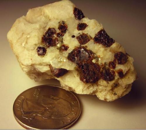 Almandine in white plagioclase.  Woodlawn Quarry, Wilmington, New Castle Co., Delaware, USA (Author: Turbo)