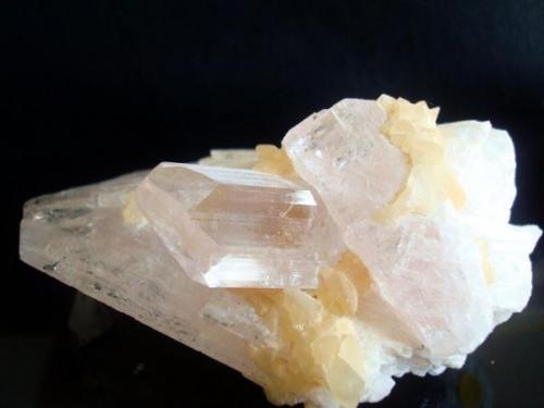 Danburite (some gemmy crystals) Locality: Charcas, San Luis Potosí, México size: 9cm x 5cm x 4.6cm (Author: Luis Domínguez)