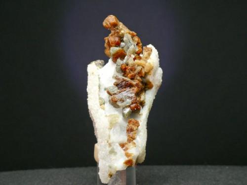 Forsterita+Clinohumita - Llanos del Juanar, Sierra Blanca - Ojén - Málaga
Pieza de 9 x 4 cm. Cristal de 1 cm. (Autor: El Coleccionista)