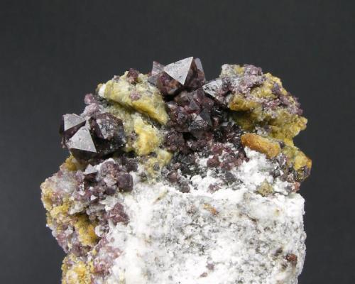 Espinela Violeta + Clinohumita
Sierra de Mijas - Málaga - Andalucía - España
Detalle - Cristales de  0.7 cm (Autor: Diego Navarro)