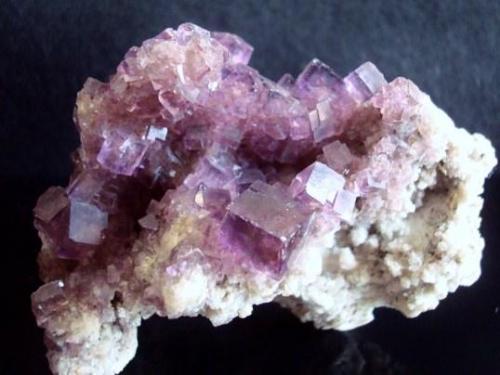 Fluorite. Locality: Melchor Muzquiz, Coahuila de Zaragoza, México size: 6.7cm x 5cm x 4.6cm (Author: Luis Domínguez)