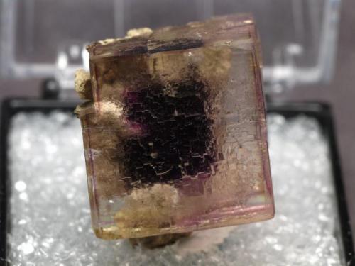 Fluorite
from Auglaize Quarry, Paulding County, Ohio, USA
Size:2.2cm X 1.8cm X 2.0cm (Author: pro_duo)