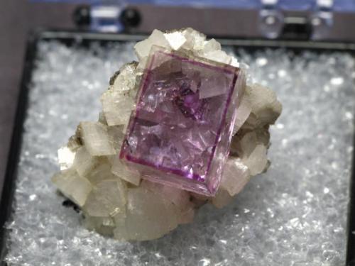 Fluorite on Dolomite
from Dolomite Products Quarry, Penfield, New York, USA
size:1.9cm X 2.3cm X1.3cm (Author: pro_duo)