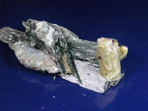 Fluorapatite crystals in actinolite schist.  Silver Hill quarry, Brecknock Township, Lancaster Co.  The main crystal is 3 cm. (Author: John S. White)