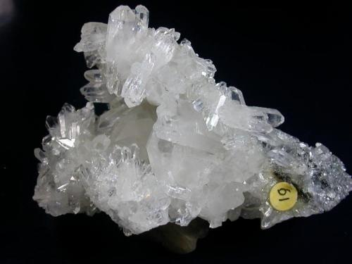 A wonderful quartz group from a coal mine!  Reading Anthracite mine, near St. Clair, Schuykill Co.  9 cm across. (Author: John S. White)