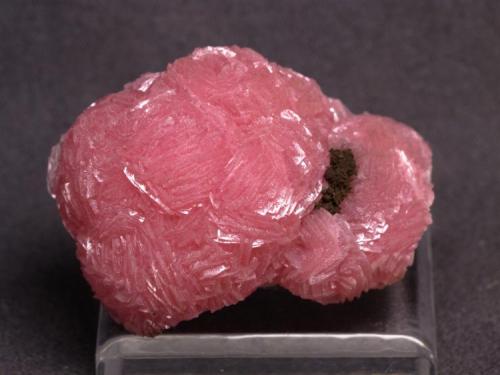 Rhodochrosite
from Wessel Mine, Kalahari MNfield, South Africa
size: 3.5cm X 2.2cm X2.3cm (Author: pro_duo)