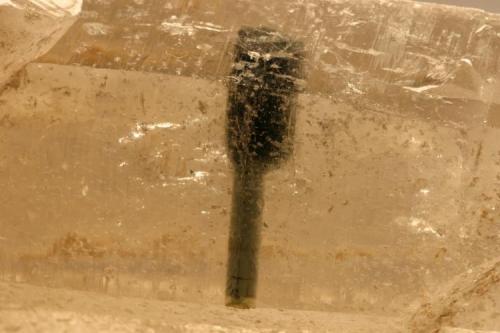 Inclusão de Cetro de Turmalina em Quartzo bi-terminado - medida do Cetro - 2,2 cm X 0,5 cm X 0,5 cm (Author: silvio steinhaus)