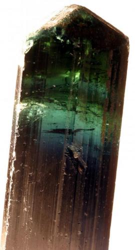Turmalina com muitas variações de cores - 5,2 cm X 2,0 cm X 1,6 cm
Minas Gerais, Brasil (Author: silvio steinhaus)