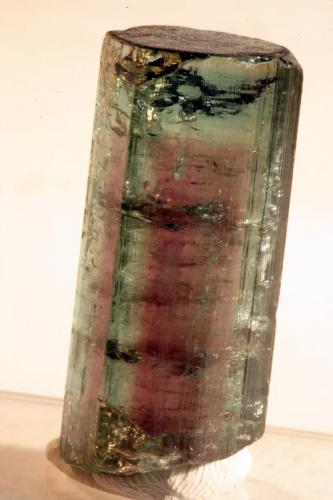 Turmalina Melancia, 3,2 cm X 1,5 cm X 1,2 cm
Minas Gerais, Brasil (Author: silvio steinhaus)